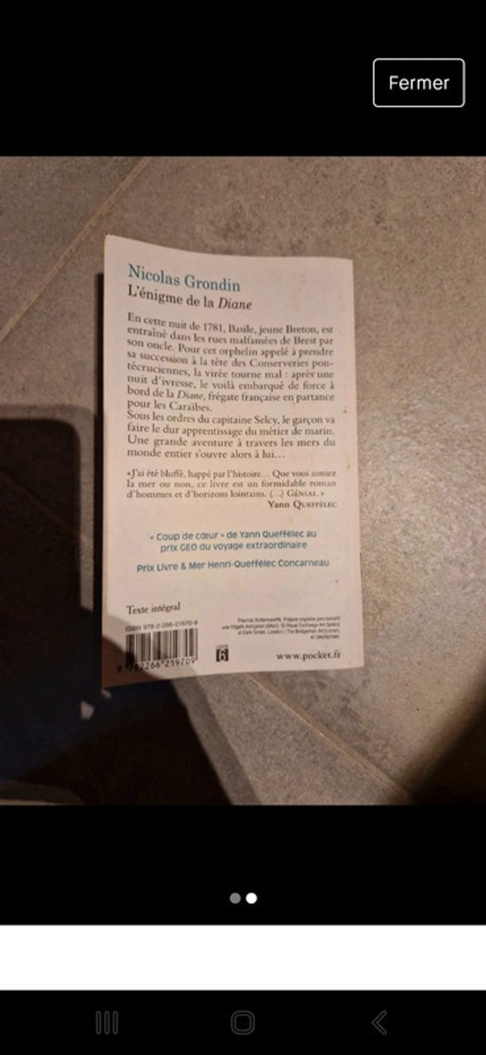 Roman historique l'énigme de la diane - photo numéro 2