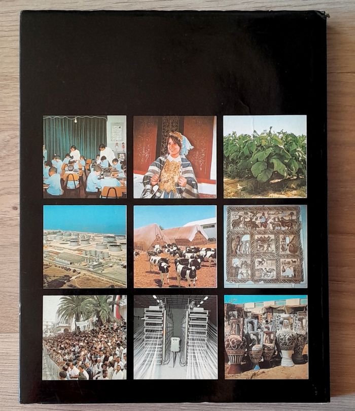 la marche de l'homme dans la république arabe lybienne - photo numéro 3