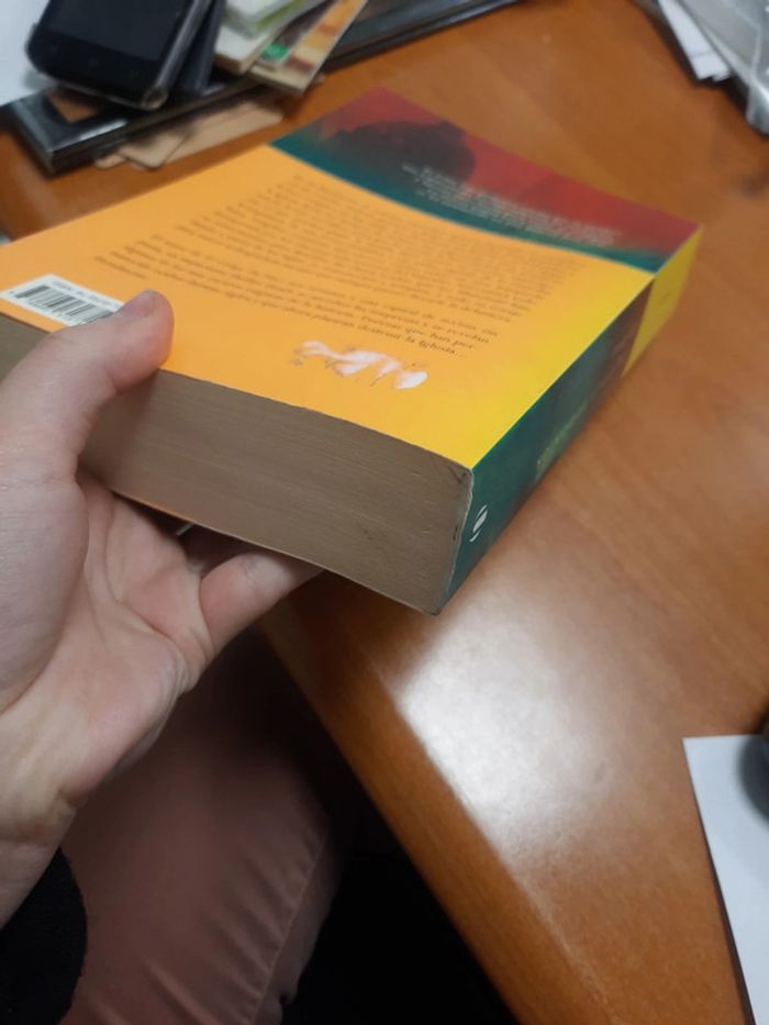 Livre ange et démon en espagnol umbriel - photo numéro 3