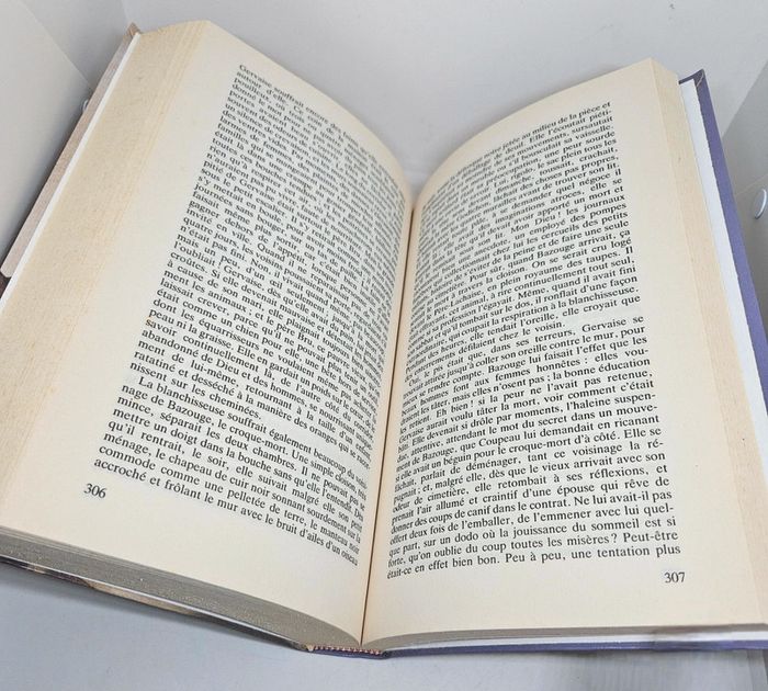 "L'assommoir", de Émile Zola.
418 pages.
Succès du livre.
ISBN : 2.73.820655.7 - photo numéro 5