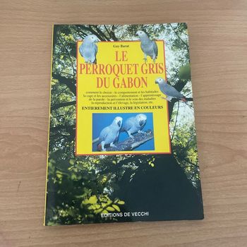 Le perroquet gris du Gabon