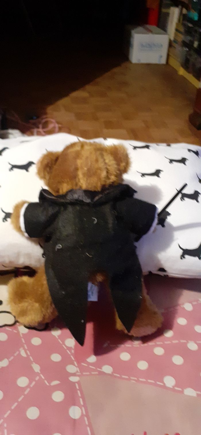 Ourson habille - photo numéro 2