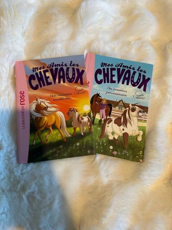 Lot de 2 livres mes amis les chevaux 