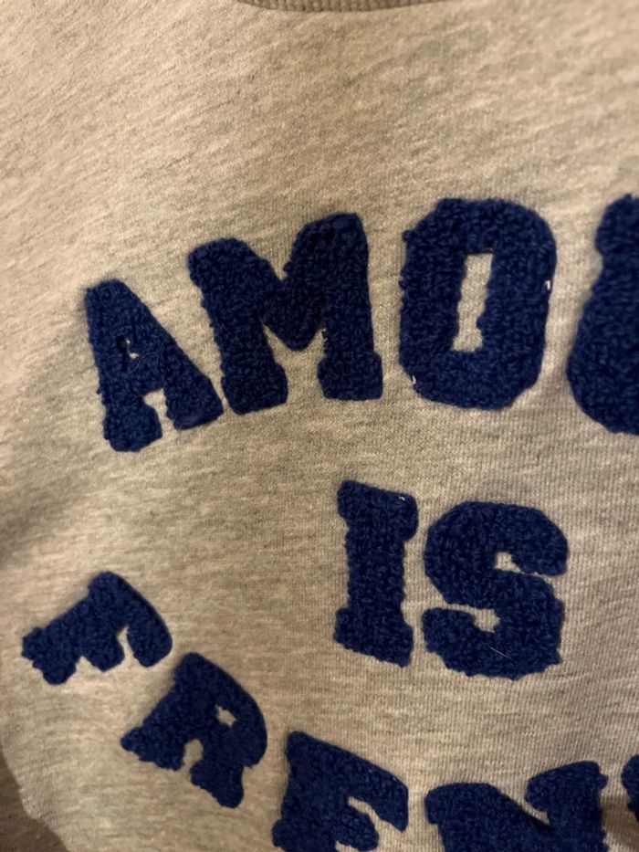 Sweat-shirt gris avec inscription - photo numéro 3