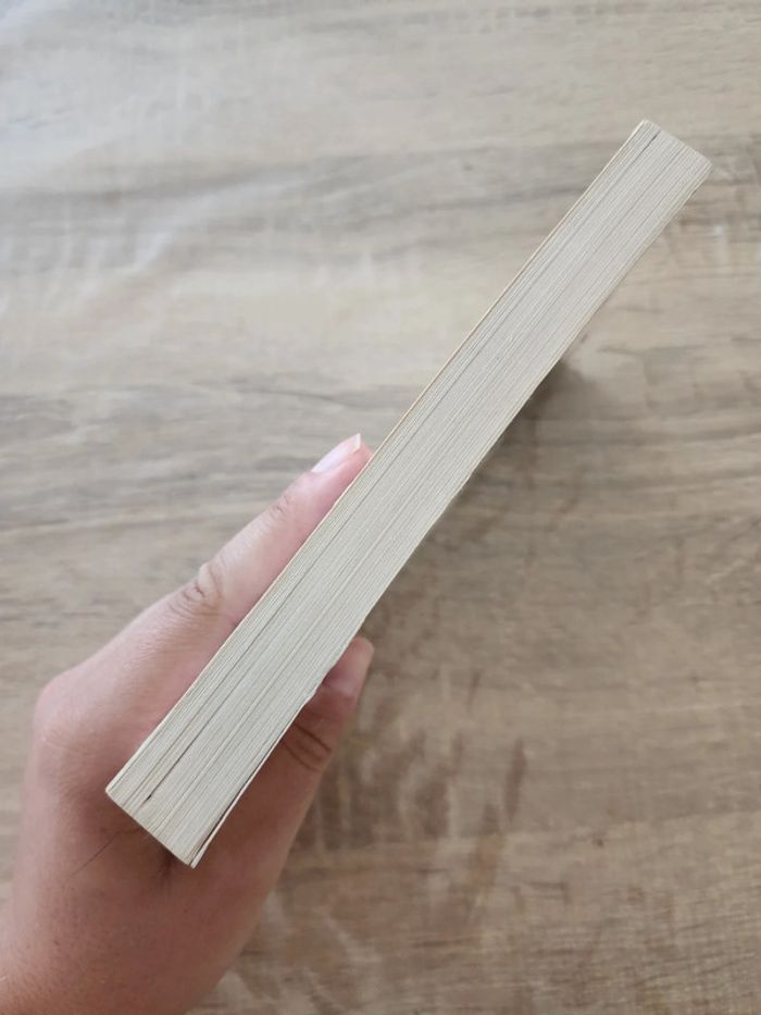 Livre de poche "l'origine de la violence" de Fabrice Humbert - photo numéro 5