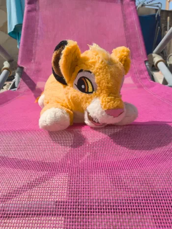 Trousse Simba