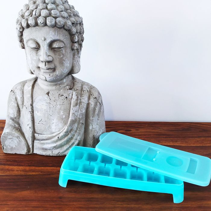 Bac à glaçons Tupperware - Pratique et hermétique !