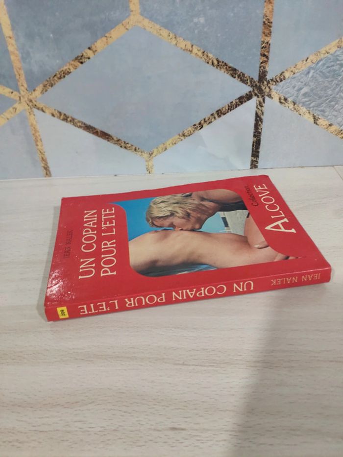 Livre poche érotique Un copain pour l'été Nalek collection Alcove adultes public averti - photo numéro 4