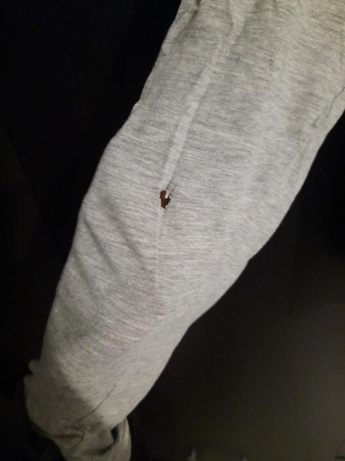 Tee shirt - photo numéro 3