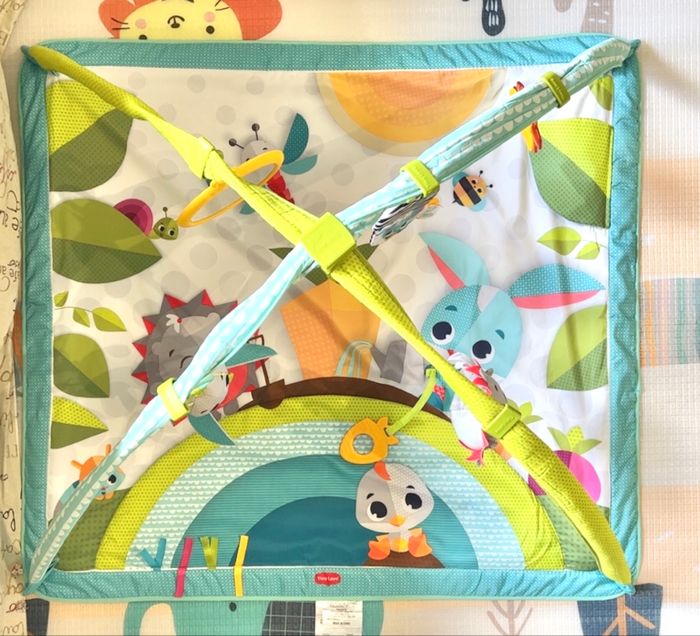 Tapis d’éveil Tiny love - photo numéro 6