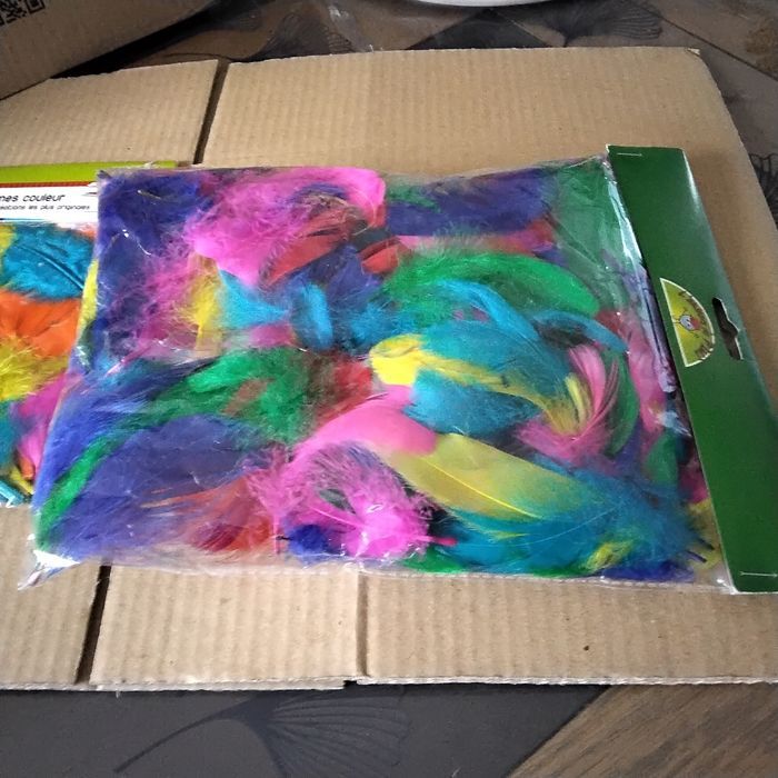 Lot de 2 paquets plumes couleurs XICA - photo numéro 2