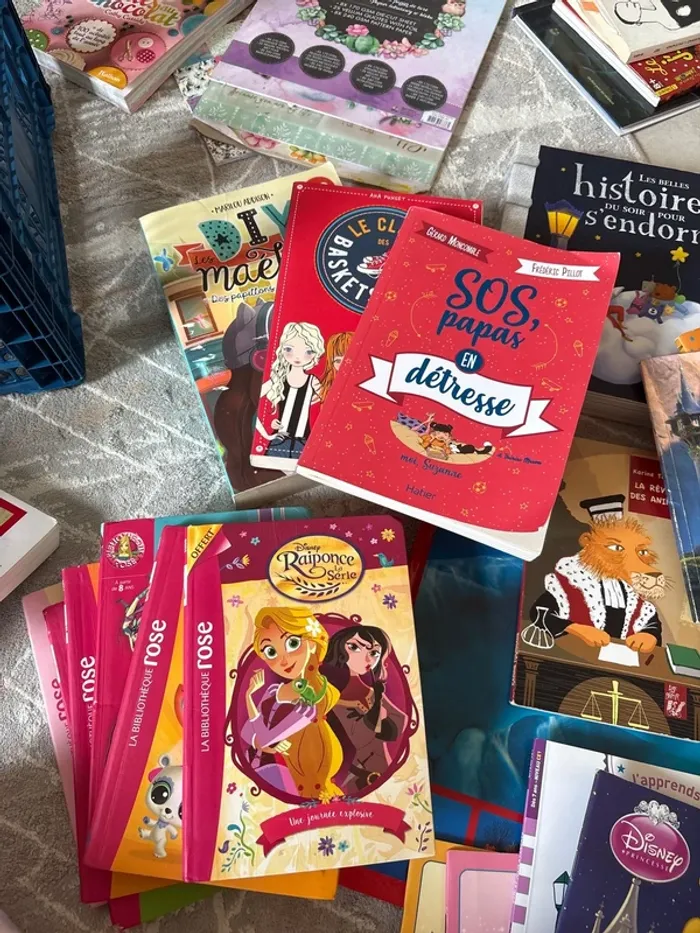 Lot de livre primaire /maternelle - photo numéro 2