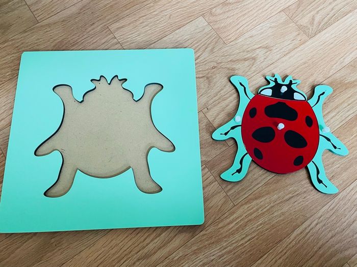 Puzzle Zoologie Montessori : la coccinelle - photo numéro 5