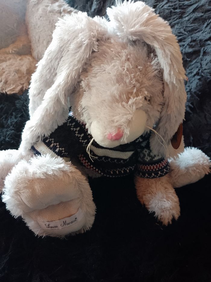 Lapin - photo numéro 5