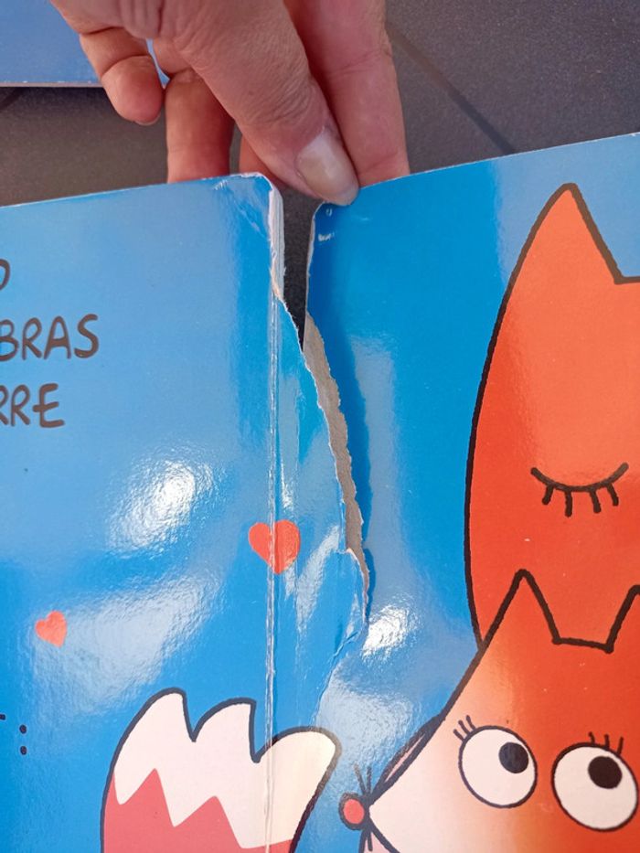 Lot de 2 livres - photo numéro 5