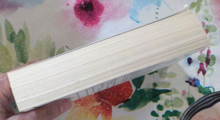 CHANGER L'EAU DES FLEURS de Valérie PERRIN Ed. Le livre de Poche - photo numéro 5