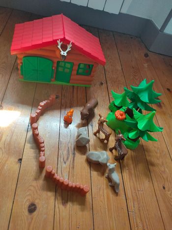 Cabane dans la forêt