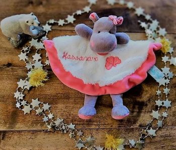 Magnifique Doudou calin