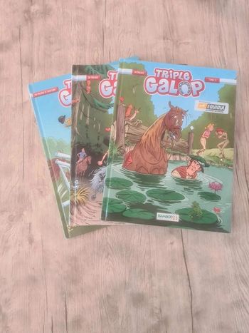 Lot  bd  triple  galop