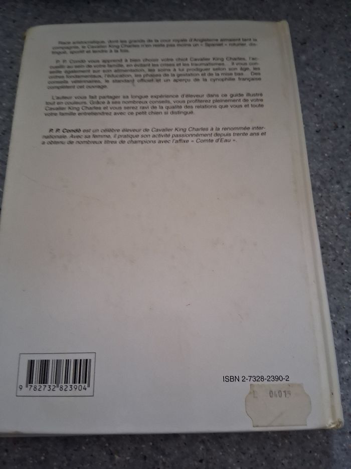 Le cavalier King Charles " condo" - photo numéro 2