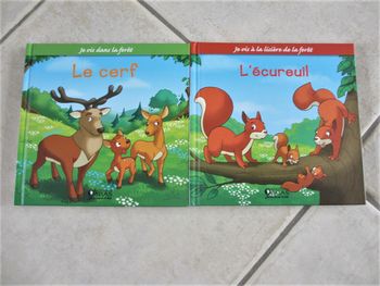 Lot de 2 livres enfant Le cerf et L’écureuil