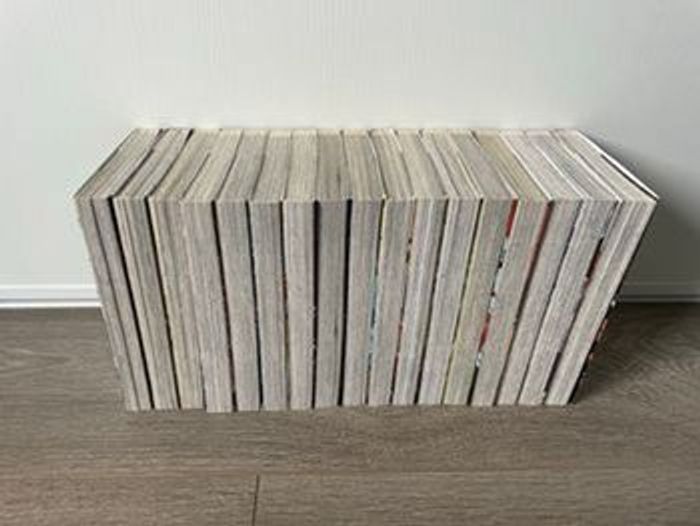 Lot de 17 mangas Demon Slayer - photo numéro 3