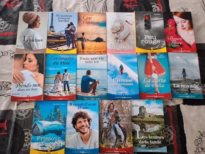 Lot de 16 Livres Collection Nous deux