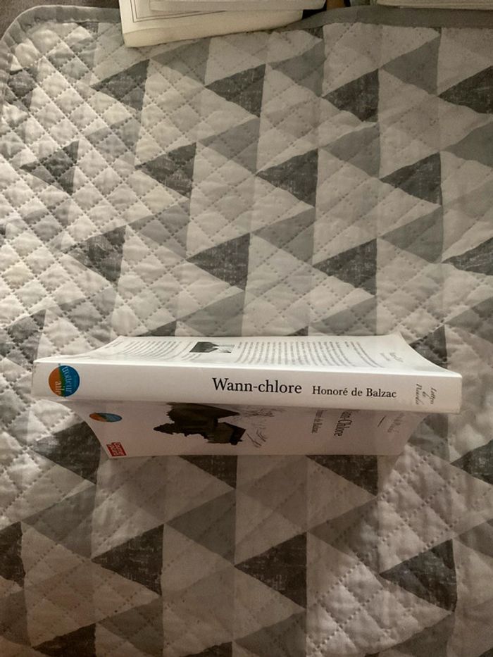 #honoré de Balzac Wann Chlore - photo numéro 3