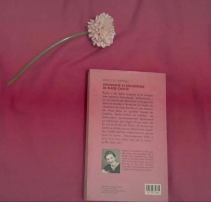 Splendeur et décadence de Katie Castle - photo numéro 2