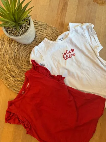 Lot de 2 tee shirt