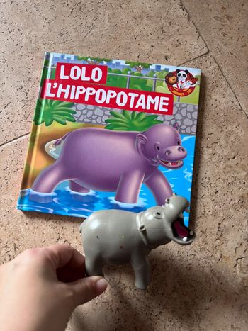 Livre et sa figurine