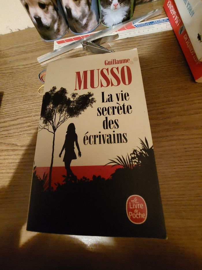 Guillaume musso la vie secrète des écrivains - photo numéro 1