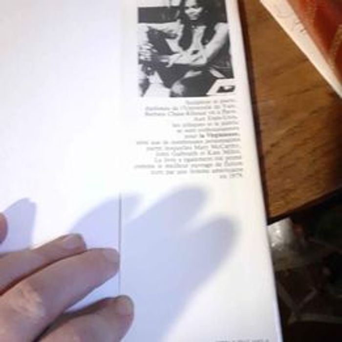 La virginienne de Barbara Chase-Riboud - photo numéro 4