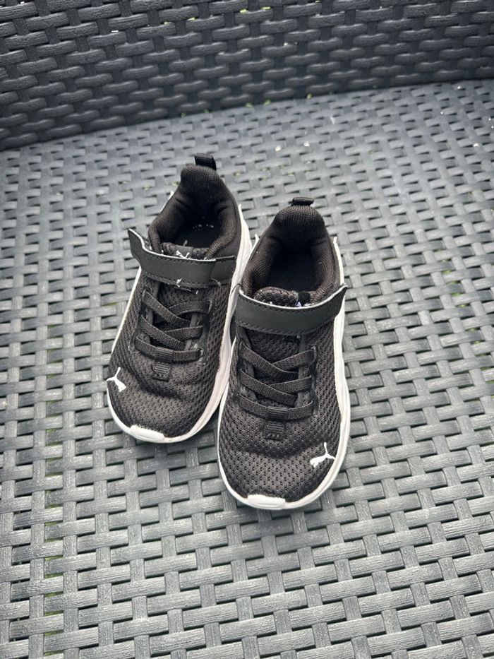 Puma bébé - photo numéro 3