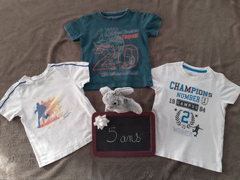 Lot de 3 tee-shirts garçon 5 ans