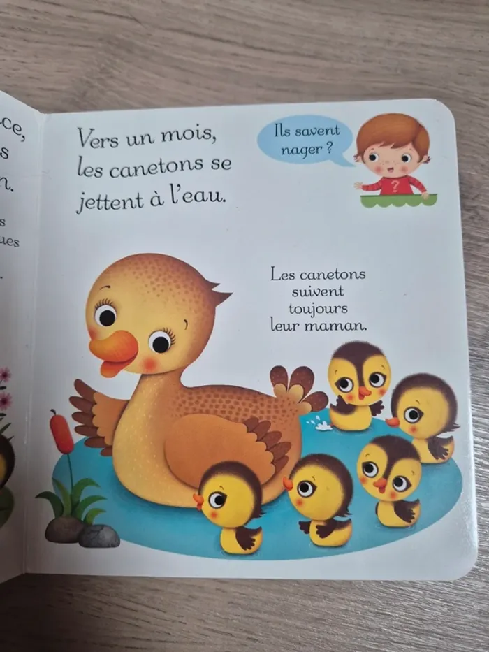 Livre C’est quoi ça - photo numéro 6