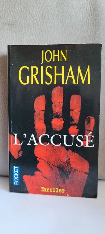 Livre L'accusé