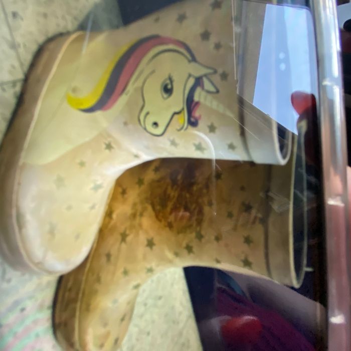 Botte