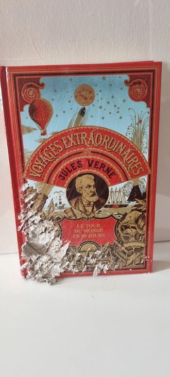 Le tour du monde en 80 jours
Jules Vernes