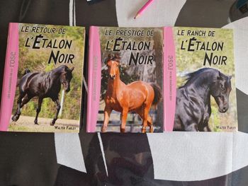 Lot 3 livres les classiques de la bibliothèque rose l etalon noir