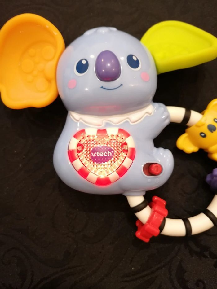 Koala - photo numéro 3