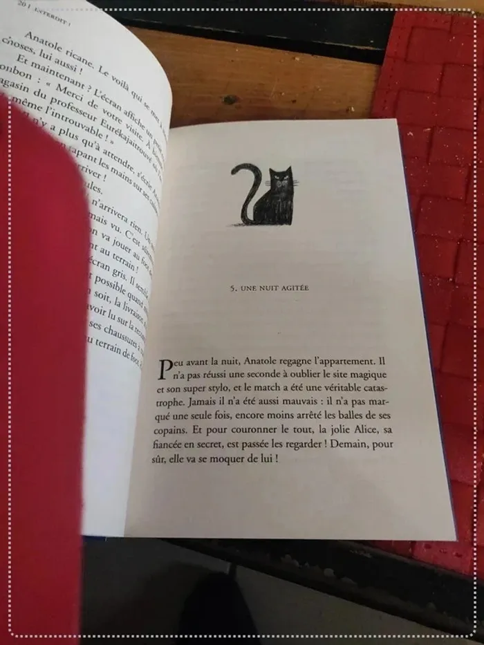 Les aventures d'Anatole : interdit ! - photo numéro 4