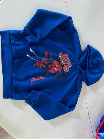 Sweat Spiderman