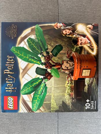 LEGO 76433 Mandragore – Harry Potter – Neuf, Scellé
