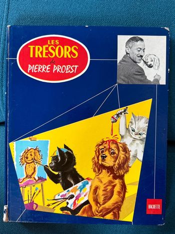 Grand gros livre Les Trésors de Pierre Probst ancien vintage recueil Caroline Youpi Pouf