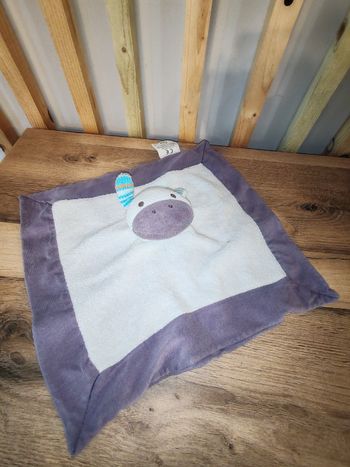 Âne nature et découverte violet