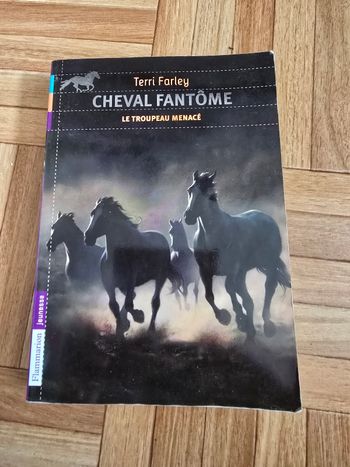 Tome 6 "Cheval fantome"