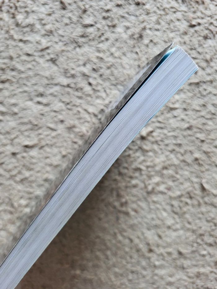 Roman jeunesse Le seigneur sans visage  de Viviane Moore - photo numéro 3