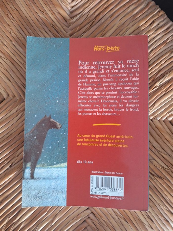 Livre Jérémy cheval - photo numéro 3