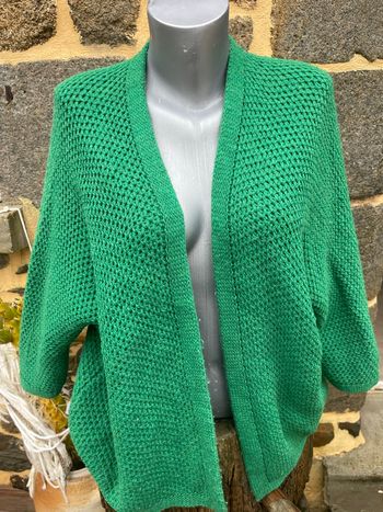 Cardigan en maille verte - Johanna Paris 
